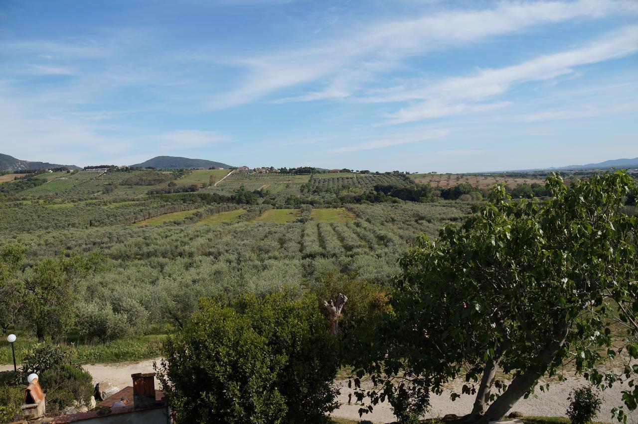 Agriturismo Ss Annunziata San Vincenzo Exterior photo